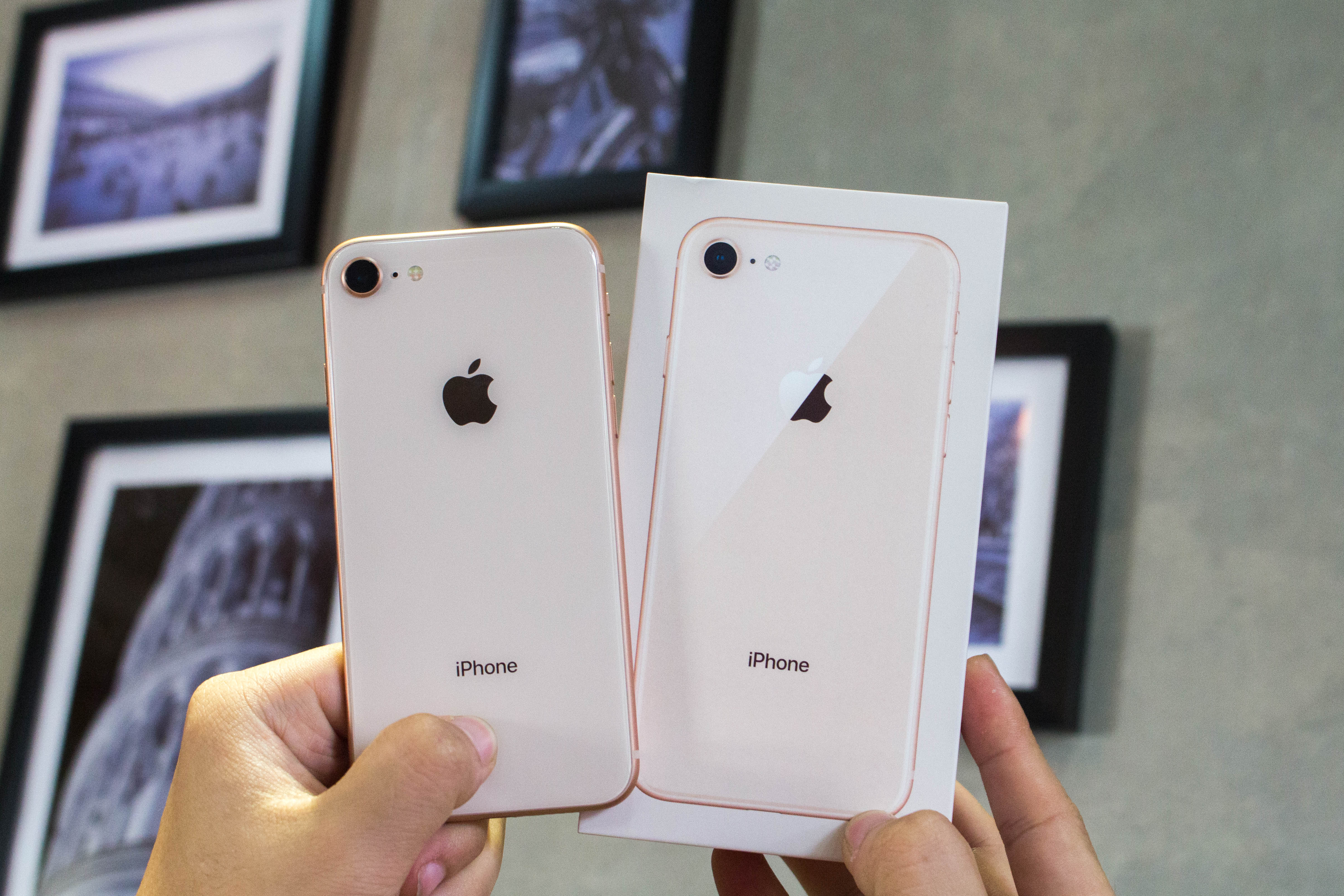 iPhone 8 chính hãng giá 19,9 triệu đồng, bán ra từ giữa tháng 10